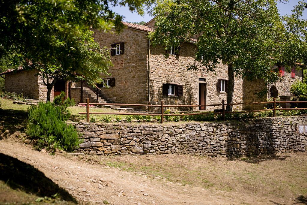 Borgo Al Teto La Vite Apartment Castiglion Fiorentino Exterior photo